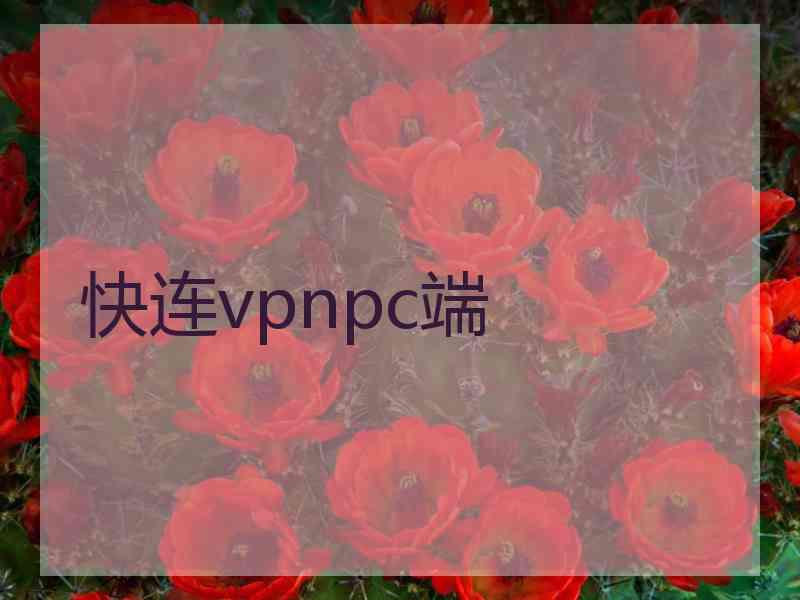 快连vpnpc端