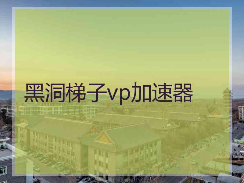 黑洞梯子vp加速器