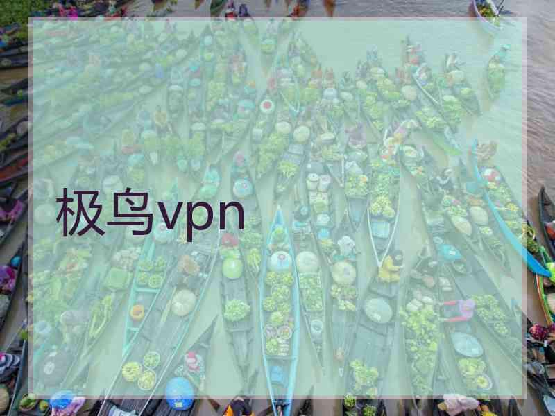 极鸟vpn