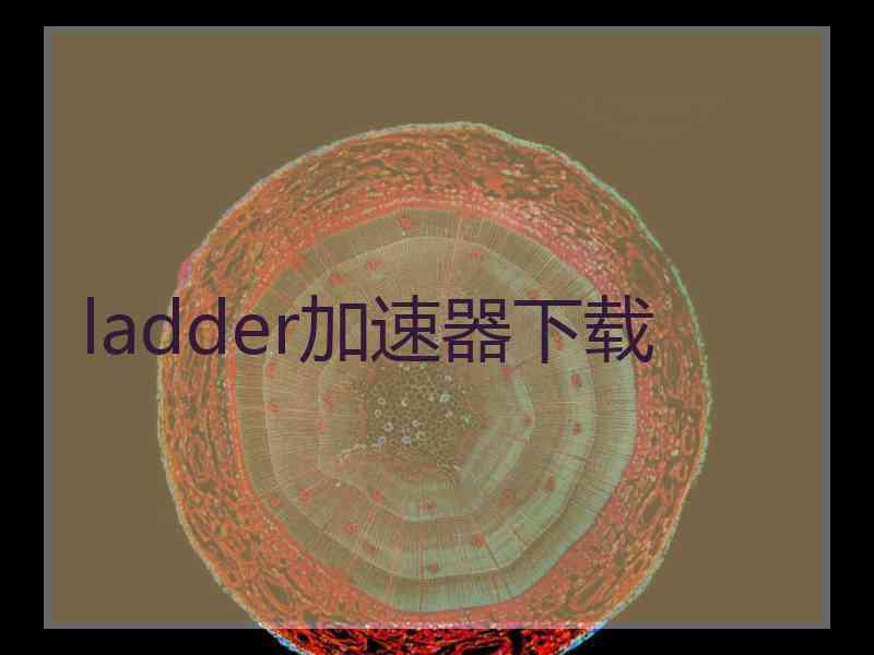 ladder加速器下载