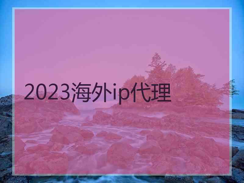 2023海外ip代理