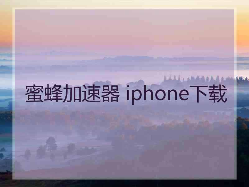 蜜蜂加速器 iphone下载