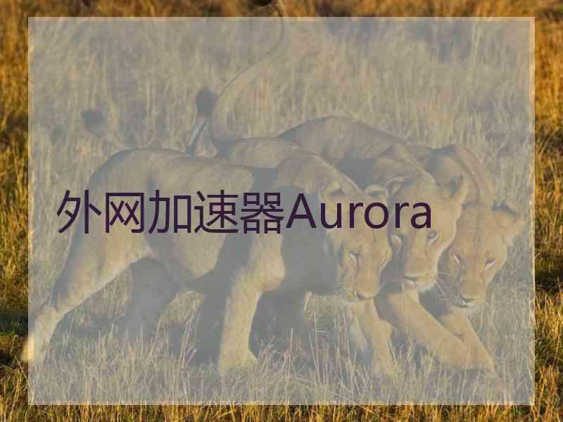 外网加速器Aurora