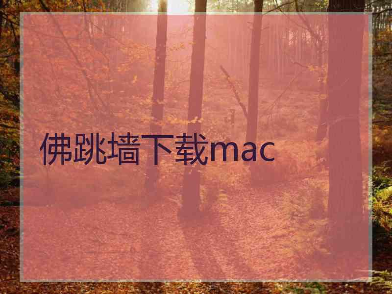 佛跳墙下载mac