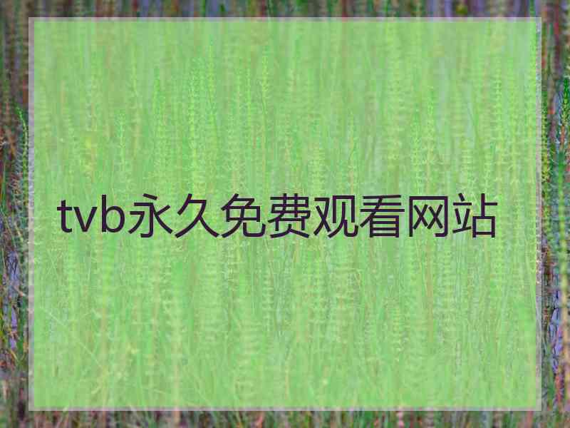 tvb永久免费观看网站