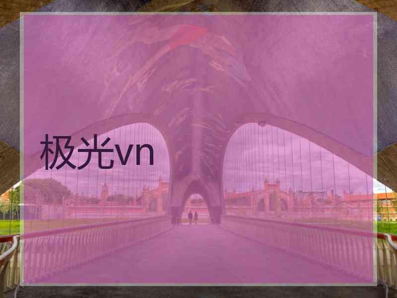 极光vn