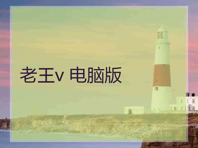 老王v 电脑版