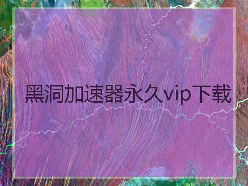 黑洞加速器永久vip下载