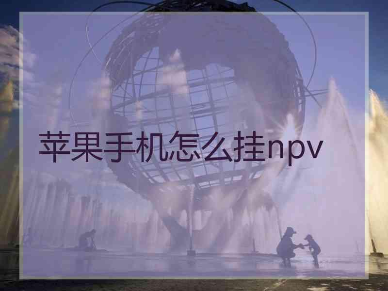 苹果手机怎么挂npv