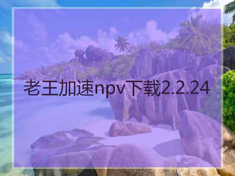 老王加速npv下载2.2.24