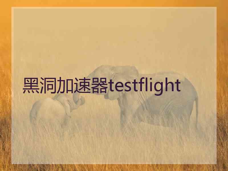 黑洞加速器testflight