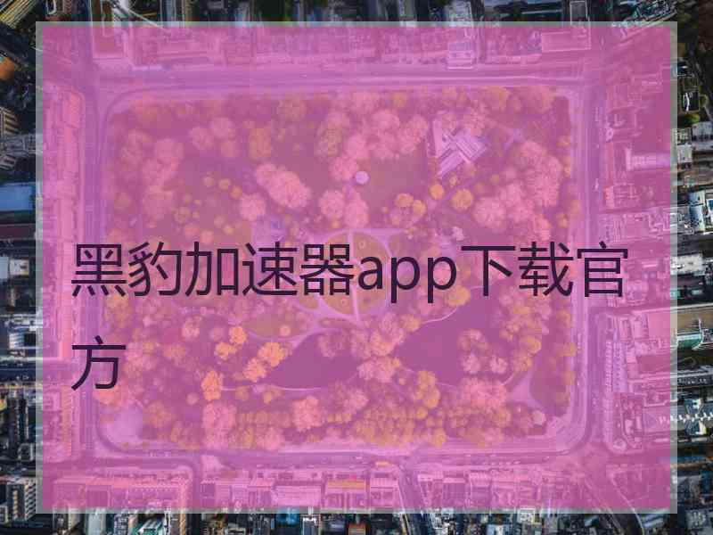 黑豹加速器app下载官方