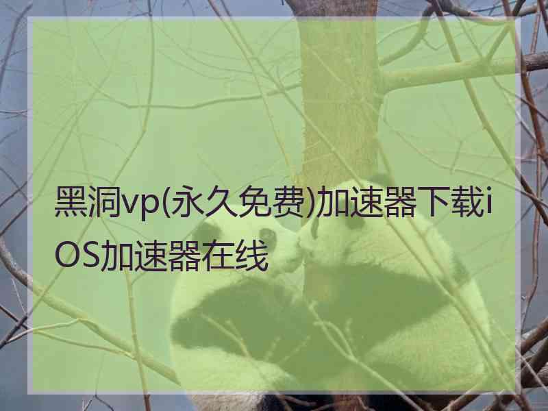 黑洞vp(永久免费)加速器下载iOS加速器在线