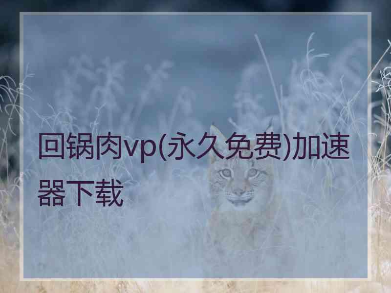 回锅肉vp(永久免费)加速器下载