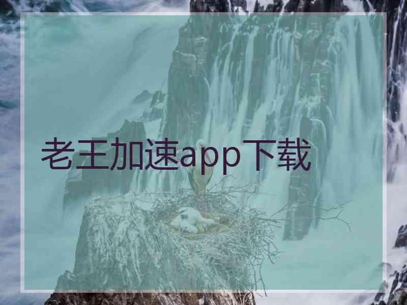 老王加速app下载