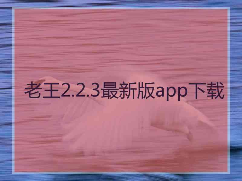 老王2.2.3最新版app下载