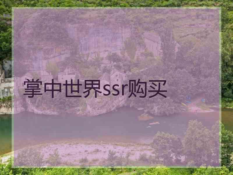 掌中世界ssr购买