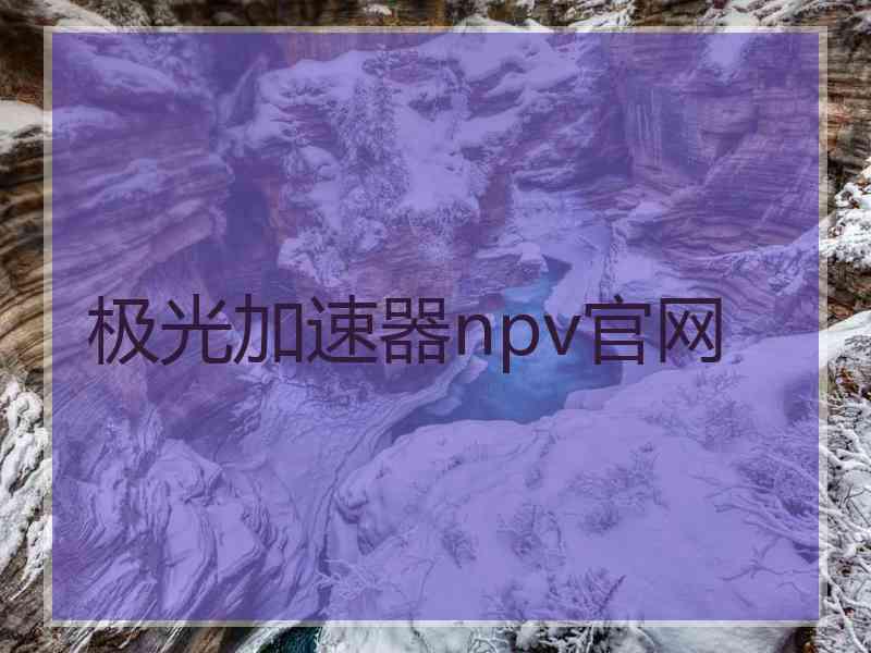 极光加速器npv官网