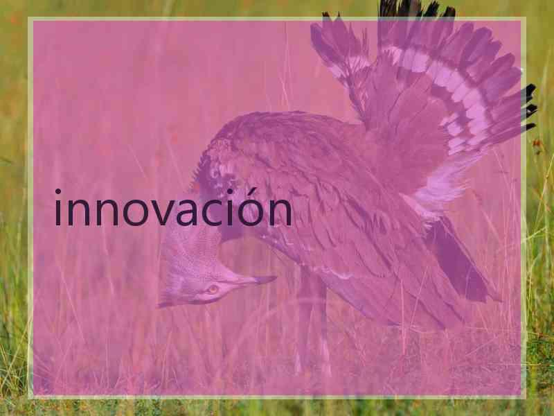 innovación