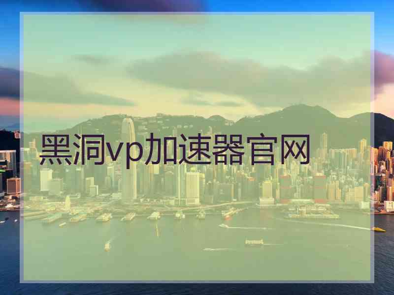 黑洞vp加速器官网