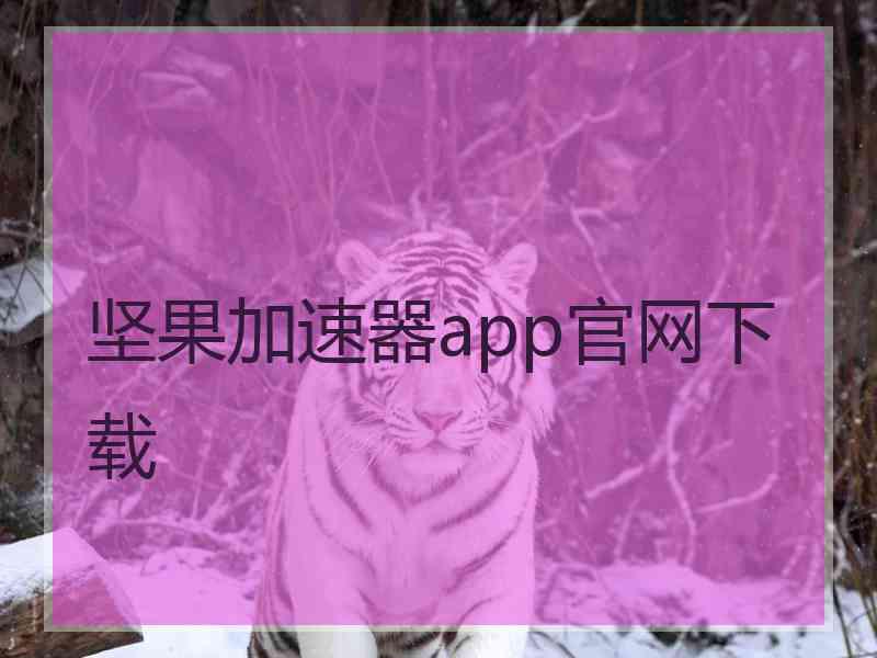 坚果加速器app官网下载