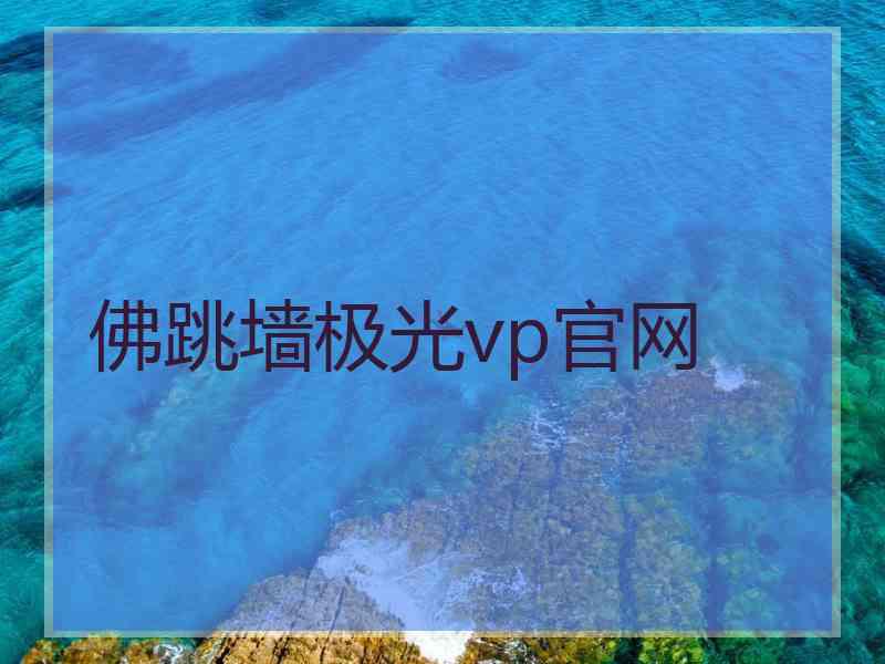 佛跳墙极光vp官网