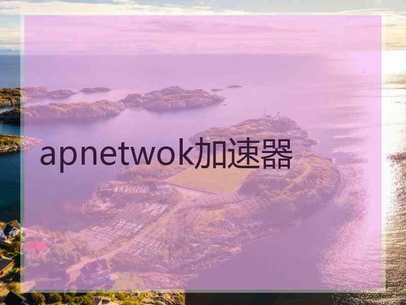 apnetwok加速器