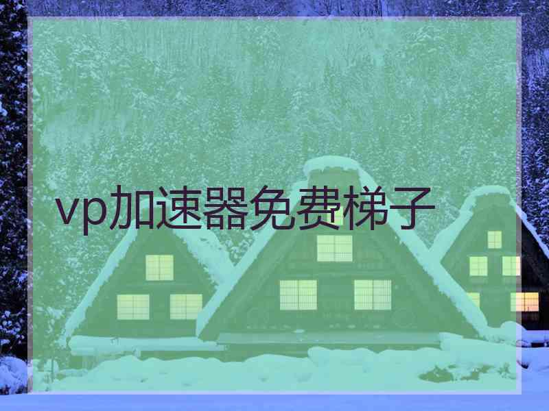 vp加速器免费梯子