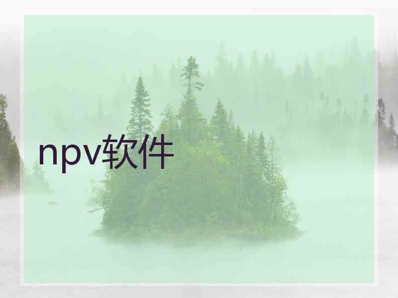 npv软件