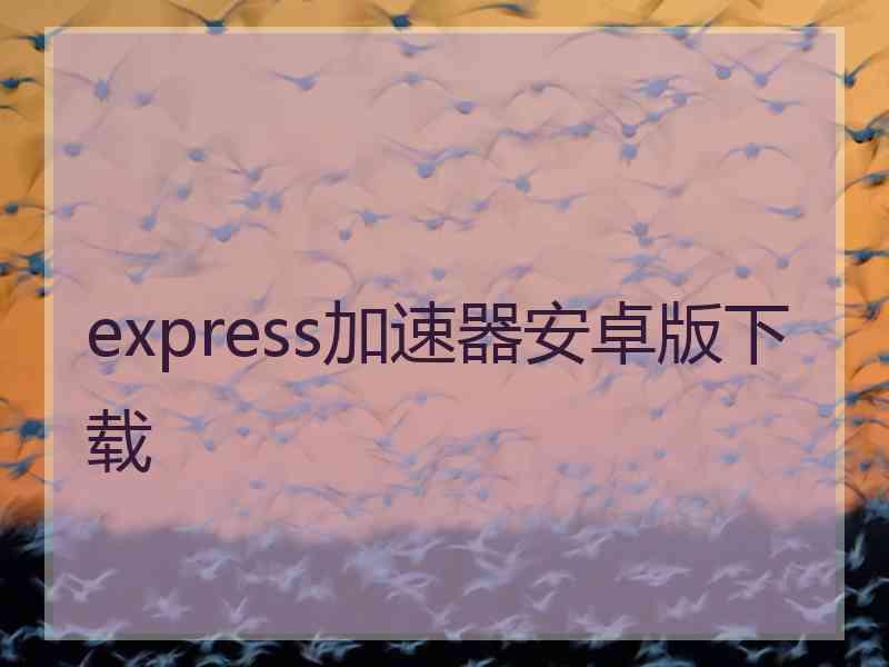 express加速器安卓版下载