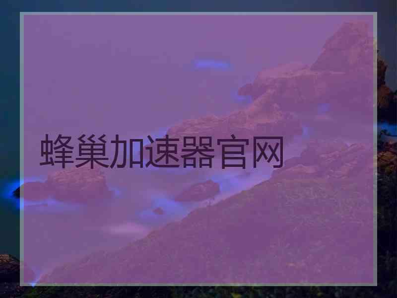 蜂巢加速器官网