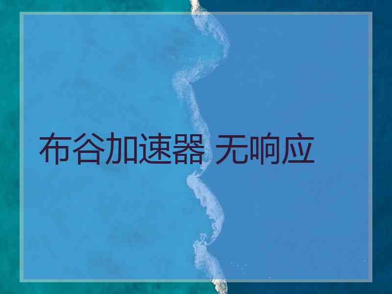 布谷加速器 无响应