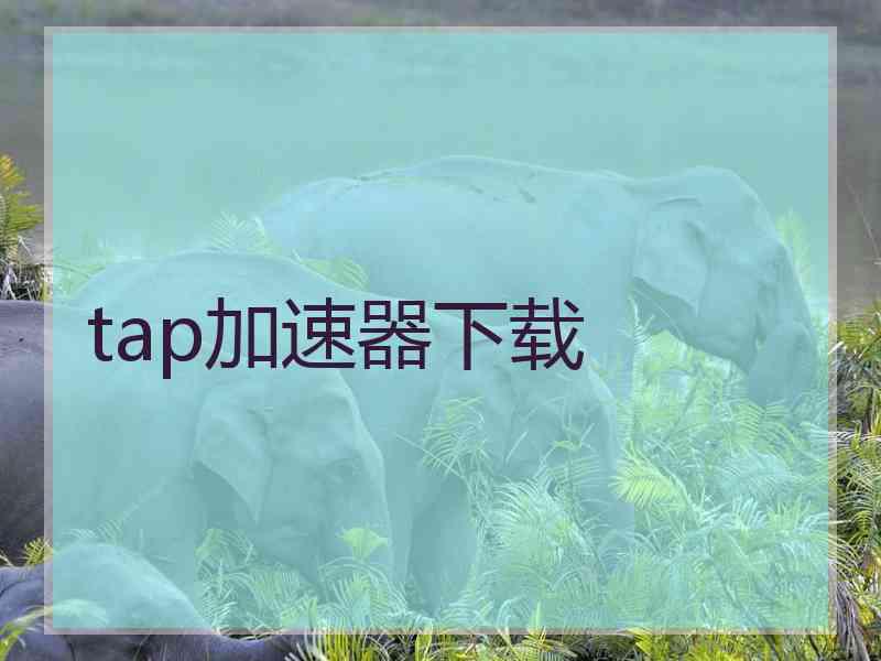 tap加速器下载