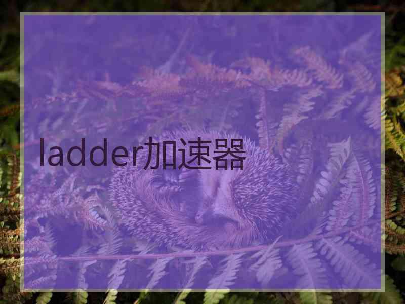 ladder加速器