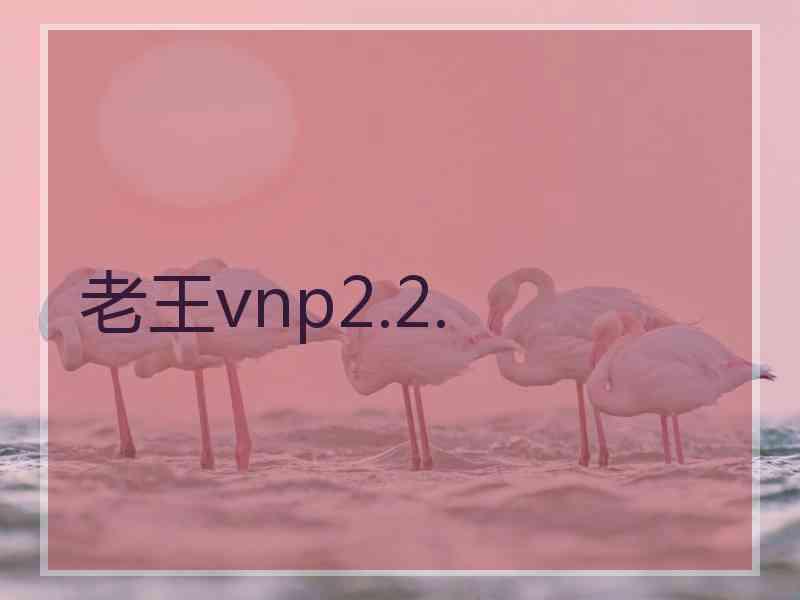 老王vnp2.2.