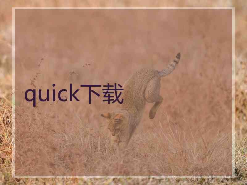 quick下载