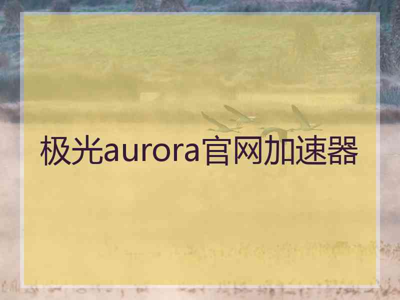 极光aurora官网加速器