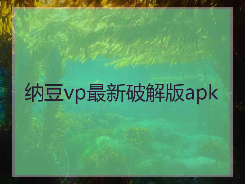 纳豆vp最新破解版apk