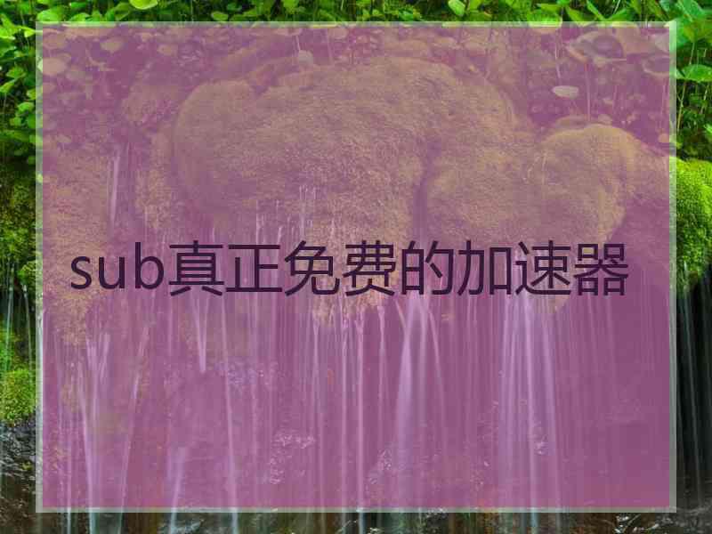 sub真正免费的加速器