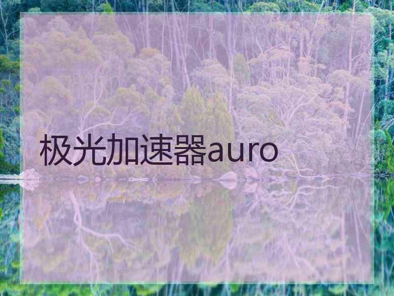 极光加速器auro