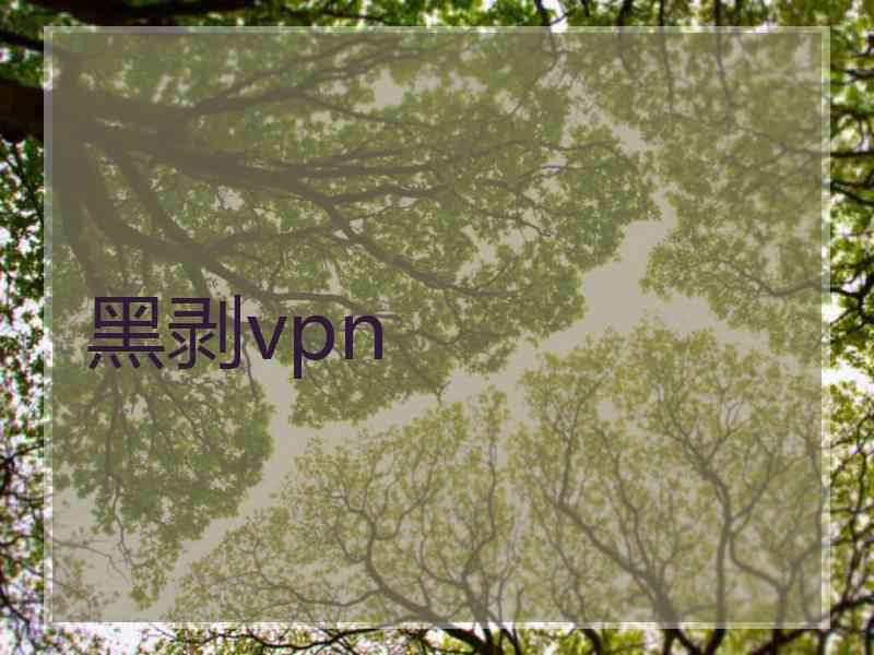 黑剥vpn