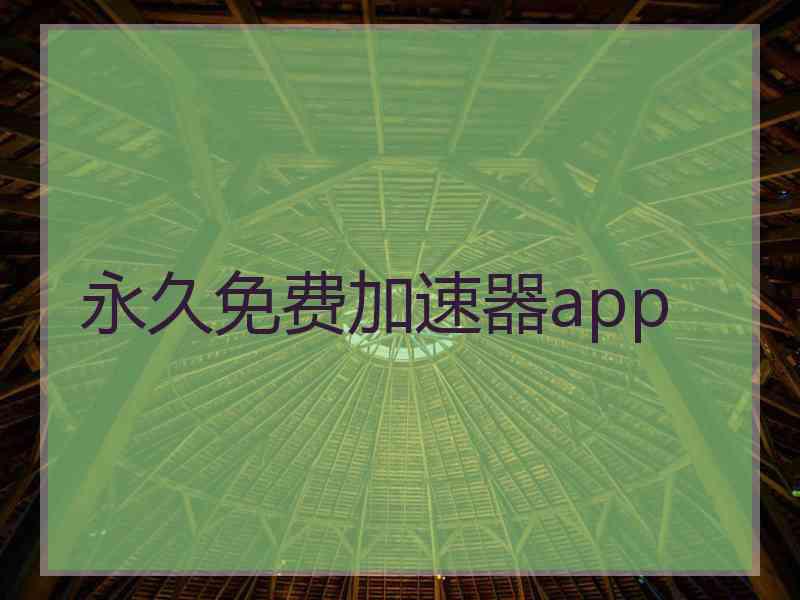 永久免费加速器app