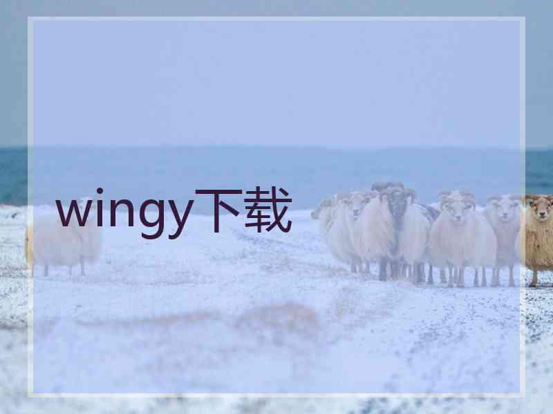 wingy下载