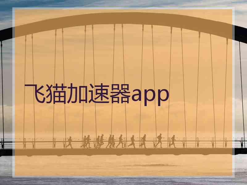 飞猫加速器app
