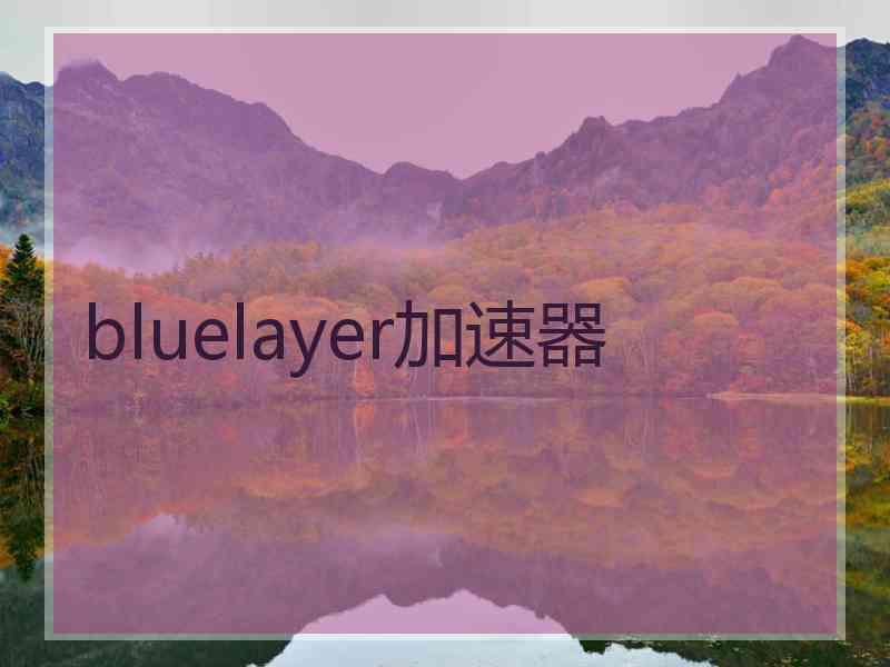 bluelayer加速器