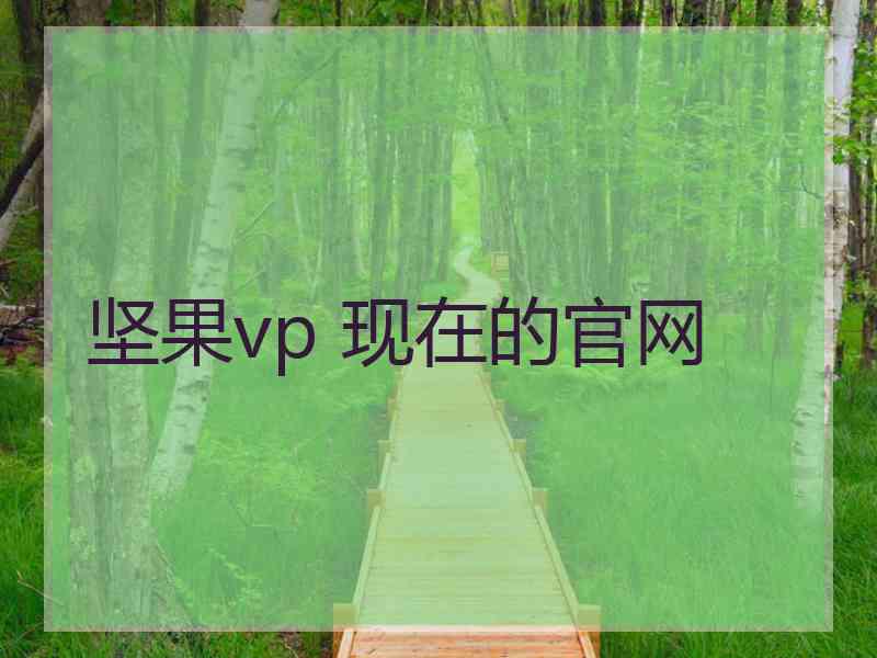 坚果vp 现在的官网