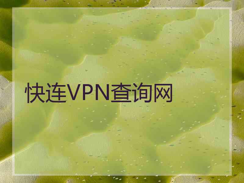 快连VPN查询网