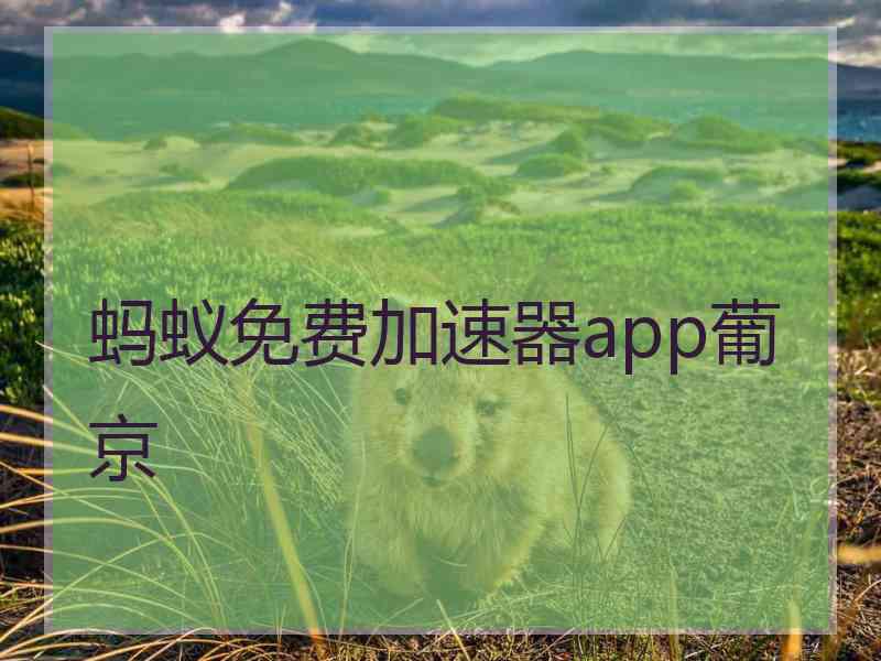 蚂蚁免费加速器app葡京