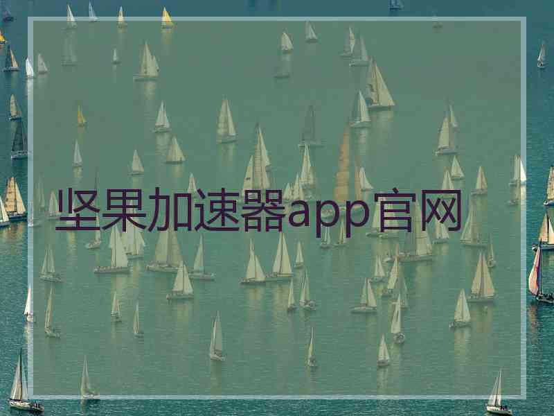 坚果加速器app官网