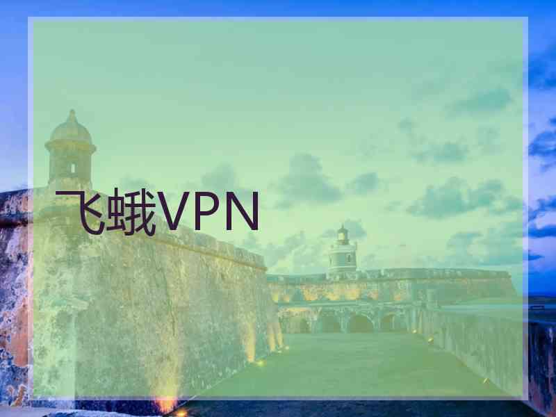 飞蛾VPN